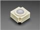 Adafruit 5060