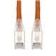 Amphenol ProLabs C-100FCAT6S-OE