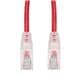 Amphenol ProLabs C-10FCAT5E-RD-50PK-TAA