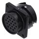 Amphenol Audio MP-4102-19P
