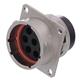 Amphenol SINE Systems RT00188PNH