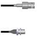 Amphenol Custom Cable Q-0301U0003024i