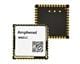 Amphenol-SAA W601C