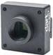 Basler 108729