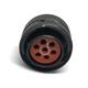 Cinch MS24266R14B7SN