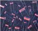 Knowles / Illinois Capacitor 20PSD15