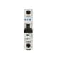 Eaton Electrical FAZ-D10/1-RT-SP