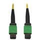 Tripp Lite N390B-07M-12-AP
