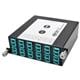 Tripp Lite N484-1M24-LC12