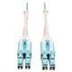 Tripp Lite N820-02M-T