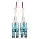 Tripp Lite N821-01M-MG-T