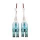 Tripp Lite N821-07M-MG-T