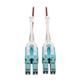 Tripp Lite N821-10M-MG-T
