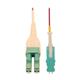 Tripp Lite N823L-02M-MG