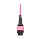 Tripp Lite N845B-01M-12MTA