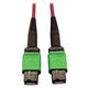 Tripp Lite N846D-01M-16AMG