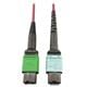 Tripp Lite N846D-01M-16CMG