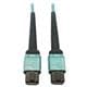 Tripp Lite N846D-01M-24AAQ