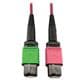 Tripp Lite N846D-03M-16BMG