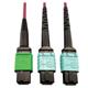 Tripp Lite N846D-03M-16DMG