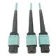 Tripp Lite N846D-03M-24BAQ