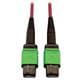 Tripp Lite N846D-05M-16AMG