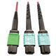 Tripp Lite N846D-05M-16DMG