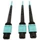 Tripp Lite N846D-05M-24BAQ
