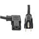 Tripp Lite P006-010-13RA