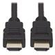 Tripp Lite P569-010
