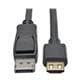 Tripp Lite P582-010-HD-V2A