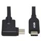 Tripp Lite U420-01M-RA
