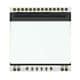 Display Visions EA LED39x41-W