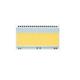 Display Visions EA LED55X31-A