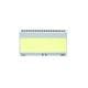 Display Visions EA LED55X31-G