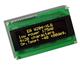 Display Visions EA W204-XLG