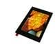Display Visions EA TFT035-34AINN