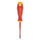 Fluke IPHS1