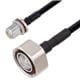 PolyPhaser CASPF250010-10FT