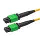 PolyPhaser MFO-FF12SM-AP-3