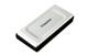 Kingston SXS2000/500G
