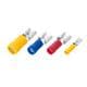 KS Terminals FDD1-110(8)