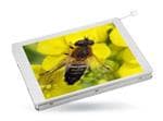 TFT Color LCD Display Modules