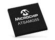 SAM G55G/G55J SMART  Arm®-based Flash MCUs