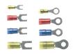 PN Ring/Locking Fork Terminals