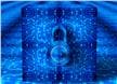 Circuit Protection Devices