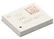 Type 1SJ-295 LoRaWAN® Modules