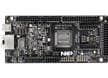 FRDM-MCXE31B Development Board