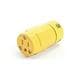 Molex 1301410031
