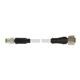Murrelektronik 7000-88241-2300150